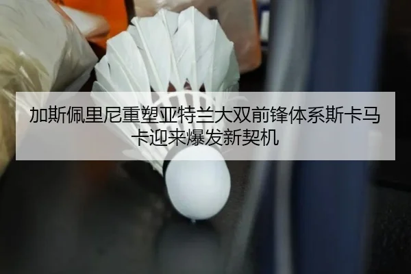 加斯佩里尼重塑亚特兰大双前锋体系斯卡马卡迎来爆发新契机
